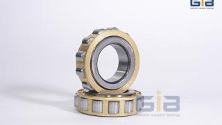 Vòng bi NJ2214W