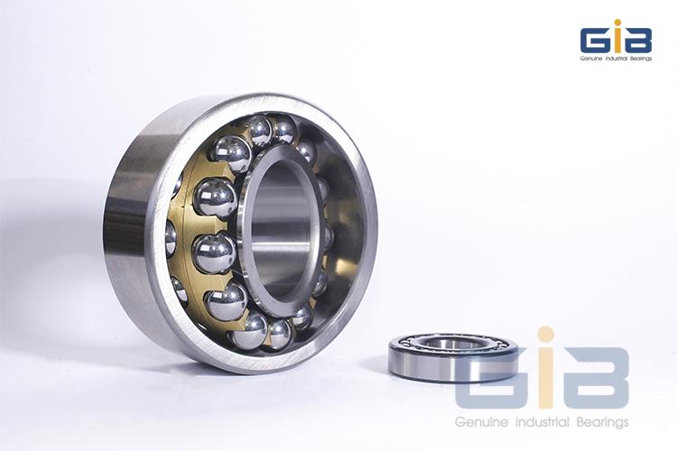 Vòng bi 1204K