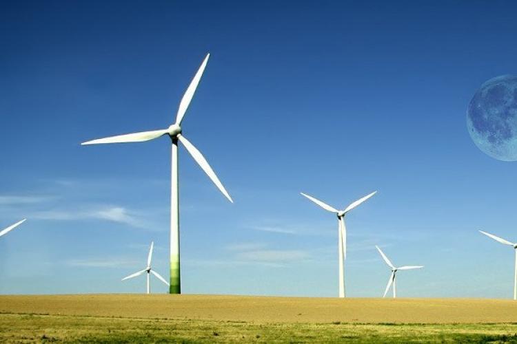 Tuabin gió giúp cây trồng phát triển tốt hơn