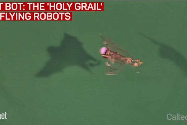 Mỹ chế tạo UAV vỗ cánh bay như dơi